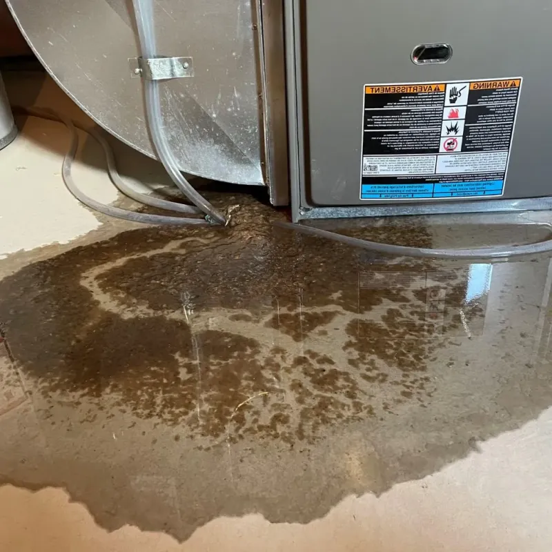 Pipe Burst and Leak Restoration in Kulpsville, PA