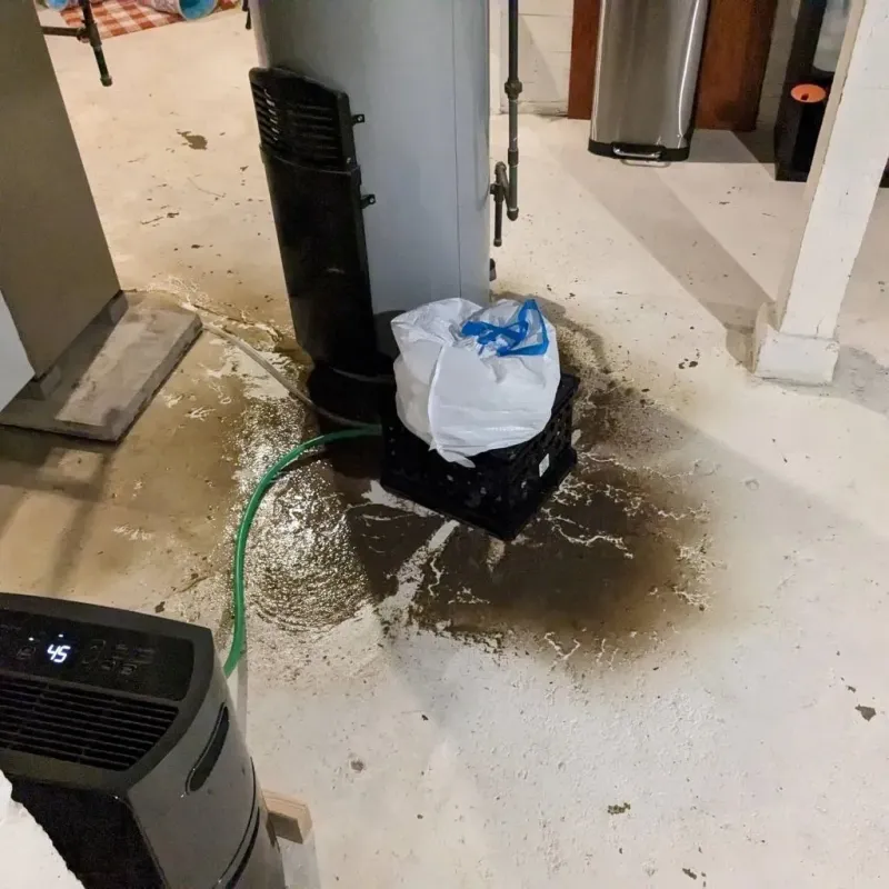 Sewage Backup Cleanup Service in Kulpsville, PA
